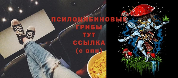экстази Вяземский