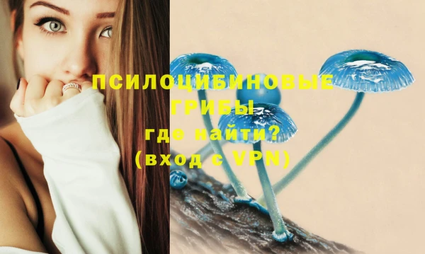 ALPHA-PVP Вязьма