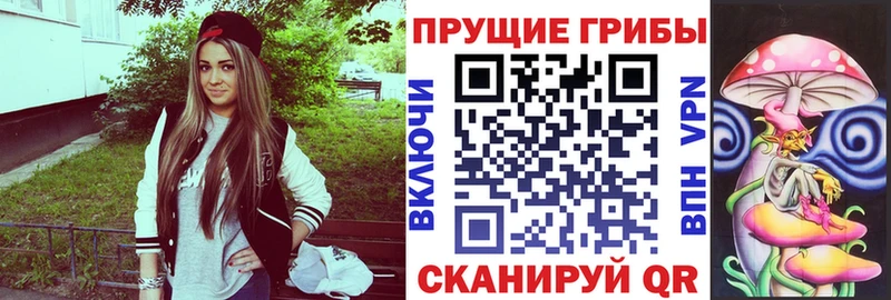 цены наркотик  Давлеканово  Псилоцибиновые грибы Magic Shrooms 
